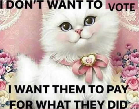 I Don't Want to Vote