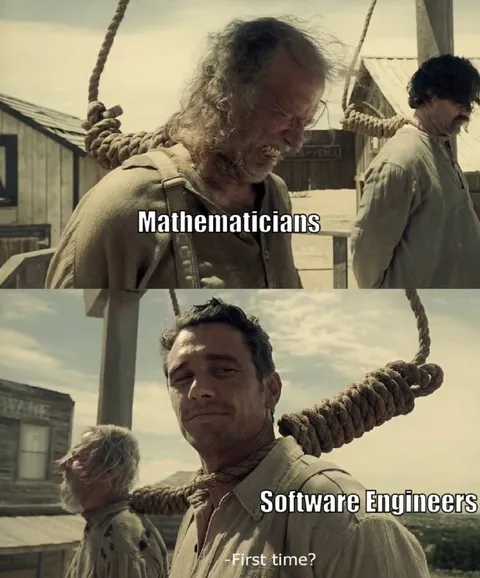 Mathematicians and Software Engineers
