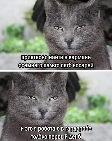 Пять косарей в кармане