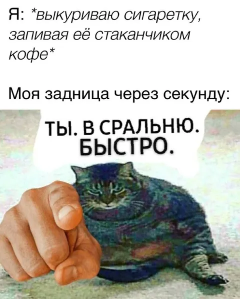 Задница требует в туалет