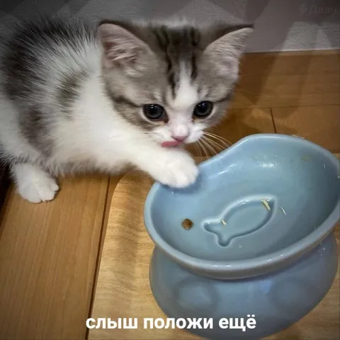 Слышь, положи ещё