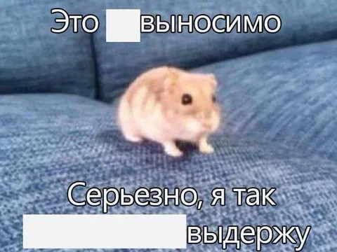 Хомяк на пределе