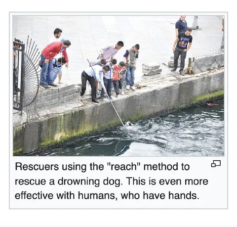 Rescuers Using the Reach Method