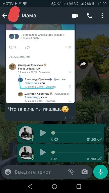Мама увидела странную переписку