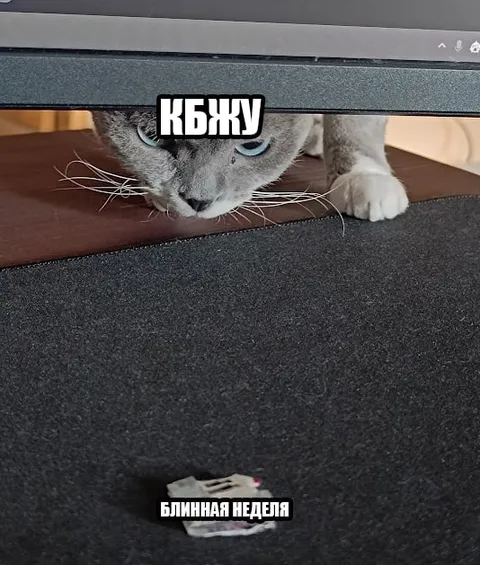 Кот и блинная неделя