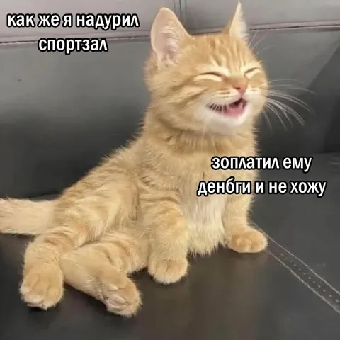 Как надурить спортзал