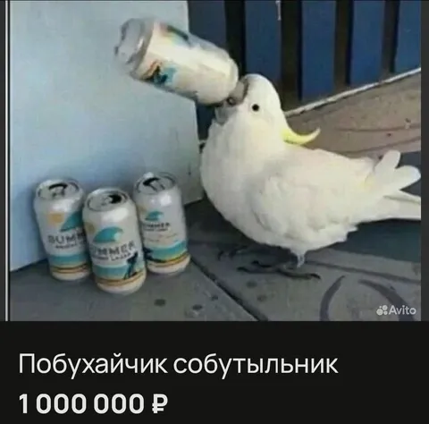 Побухайчик собутыльник