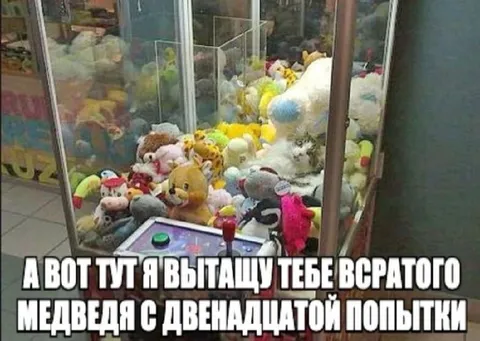Медведь с двенадцатой попытки