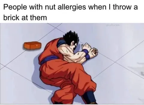 Nut Allergy Brick Attack