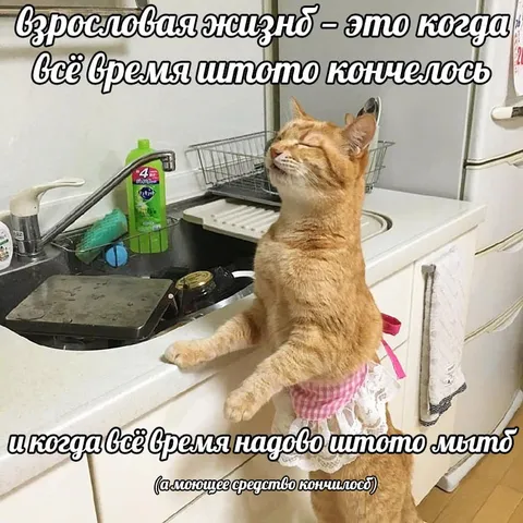 Взрослая жизнь и бесконечная уборка