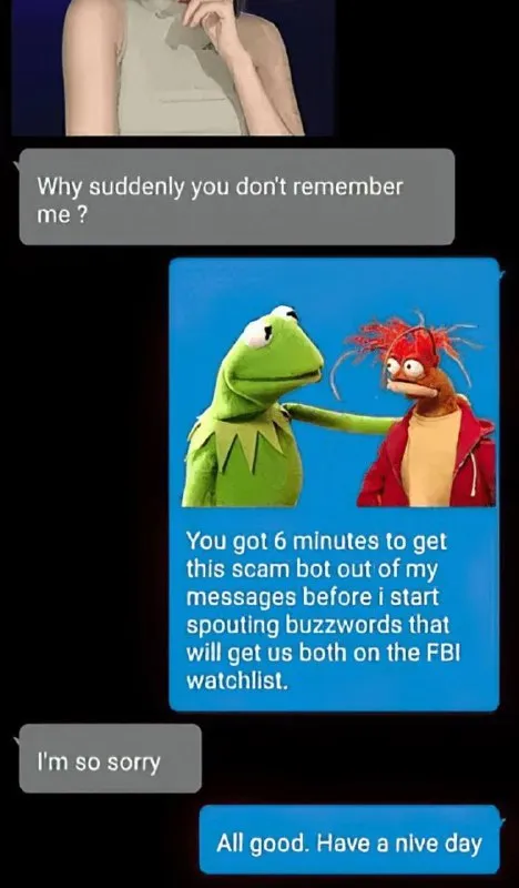 Kermit Exposes the Scam Bot