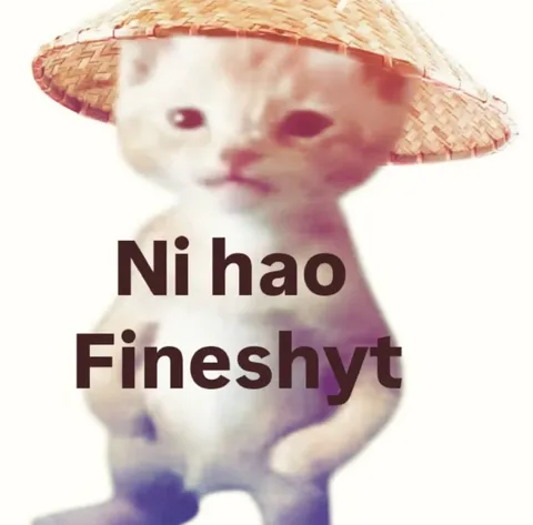 Ni Hao Fineshyt Cat