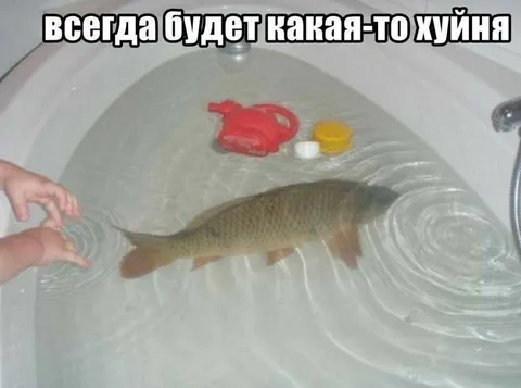Всегда будет какая-то хуйня