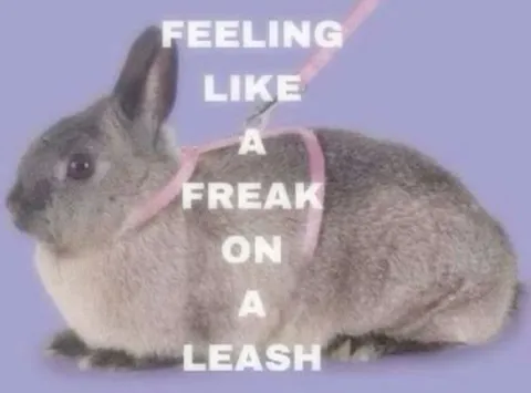 Feeling Like a Freak on a Leash