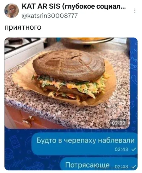 Бургер будто в черепаху наблевали