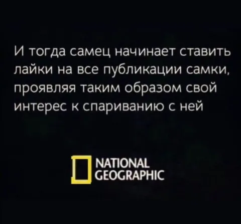 Самец ставит лайки самке