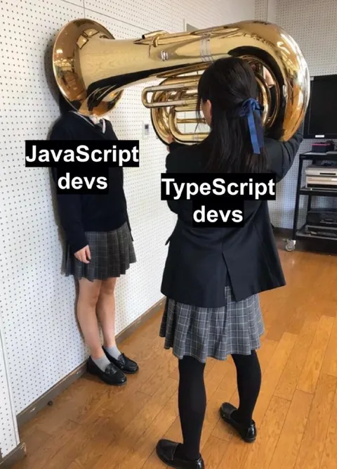 JavaScript Devs vs TypeScript Devs