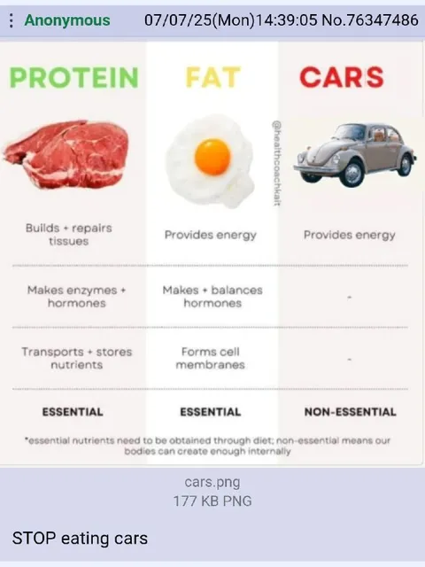 Stop Eating Cars