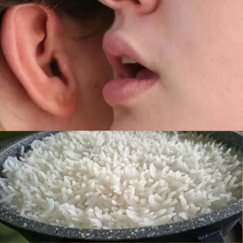 Шёпот про рис