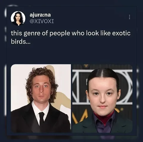 People Who Look Like Exotic Birds