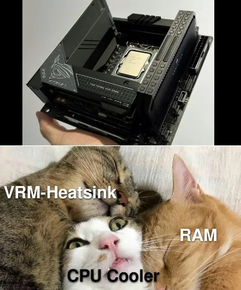 Cats as CPU Cooling Components