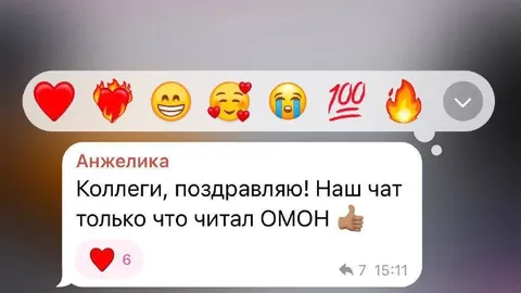 Наш чат читал ОМОН
