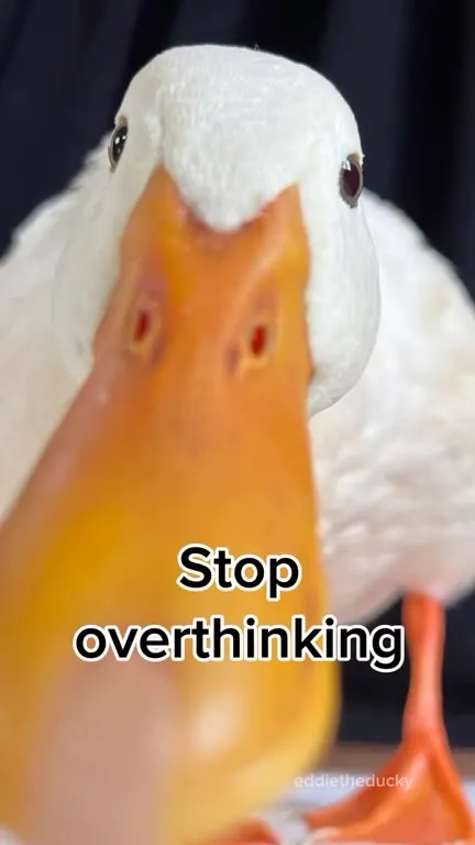 Duck Says Stop Overthinking