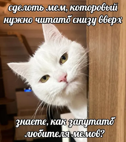 Мем, который читают снизу вверх