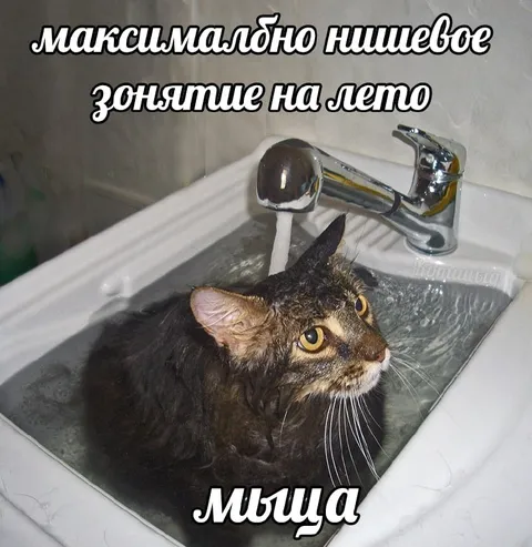 Нишшевое занятие на лето