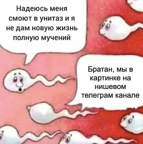 Сперматозоиды в нишевом канале