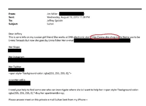 Epstein Email Mentions DNS