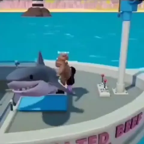 Shark interrupts date on the boat