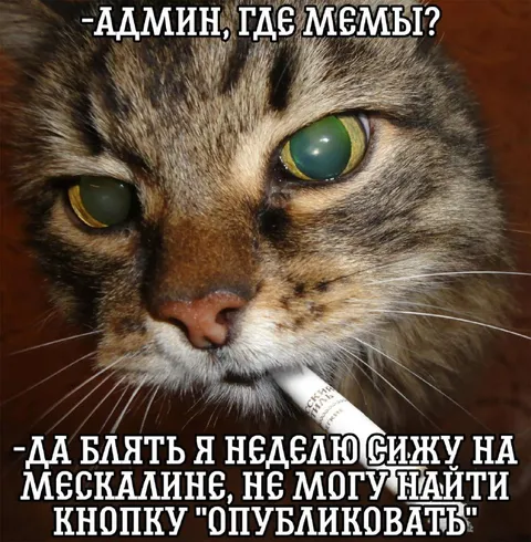 Админ не может найти кнопку