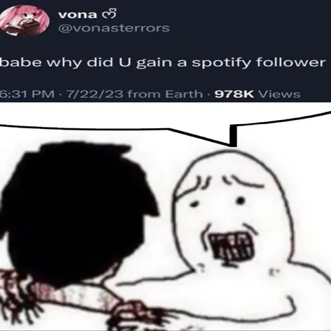 Why Did You Gain a Spotify Follower
