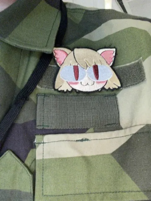 Кот на военной форме