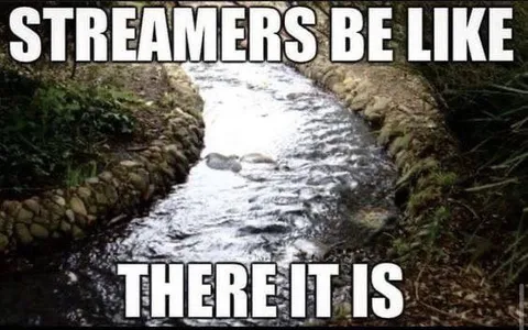 Streamers Be Like There It Is