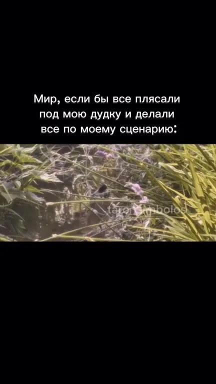 Мир пляшет под мою дудку
