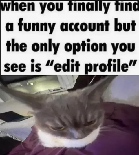 When You Find a Funny Account