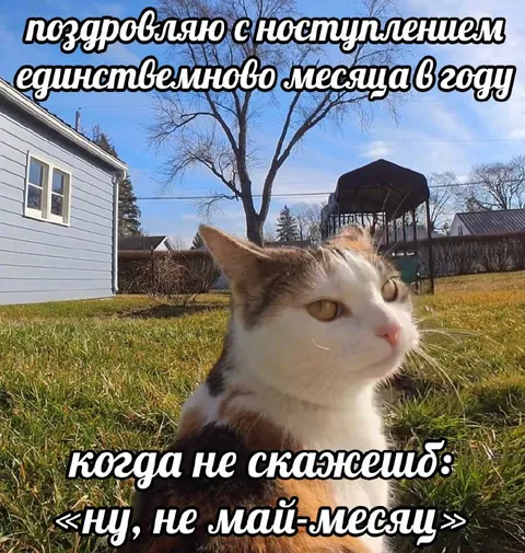 Единственный месяц без «не май-месяц»