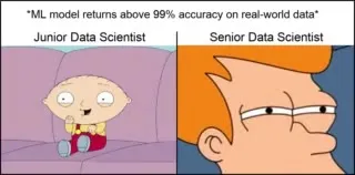 Senior Data Scientist Gets Suspicious