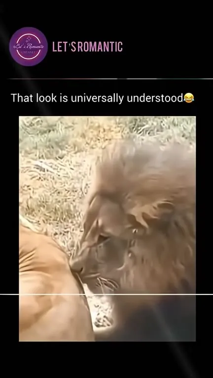 The Look Says Everything