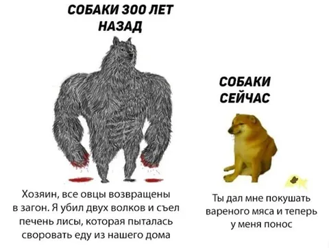 Собаки 300 лет назад и сейчас