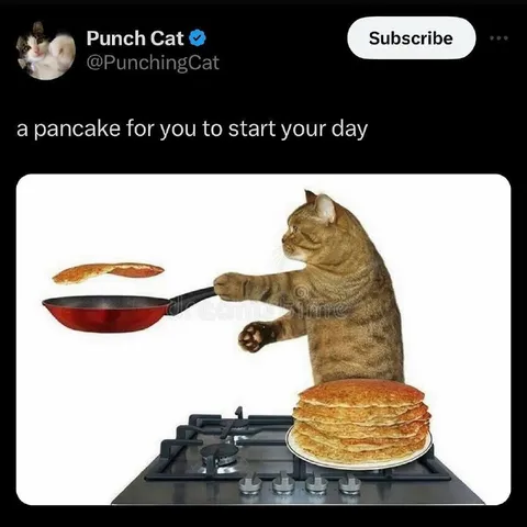 Cat Makes You Pancakes