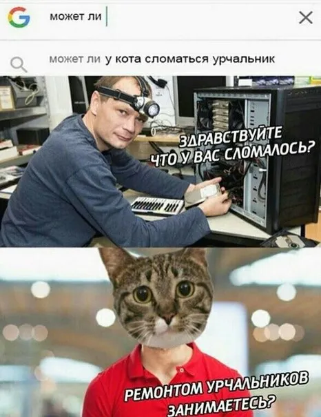 Ремонт урчальников у кота