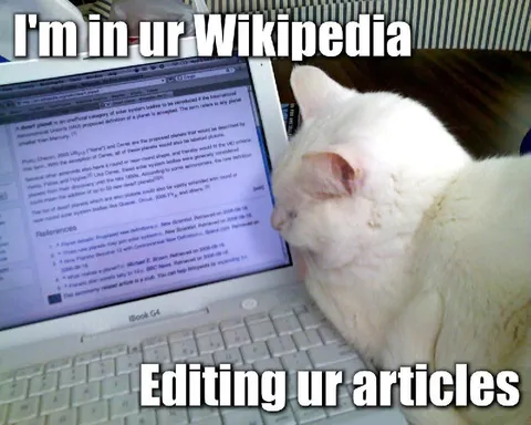 Cat Editing Wikipedia Articles