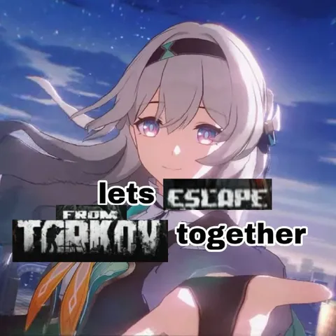 Lets Escape From Tarkov Together