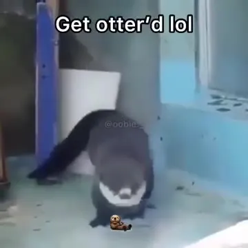 Get otter'd lol