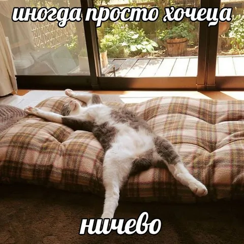 Иногда просто хочется ничего