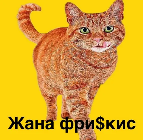 Жана фри$кис