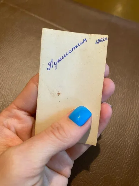 Пушистевич 1962 года